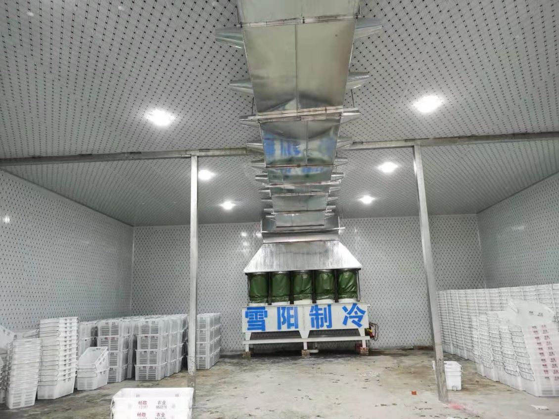 楚雄蔬菜冷庫(kù)要采取哪些制作工藝