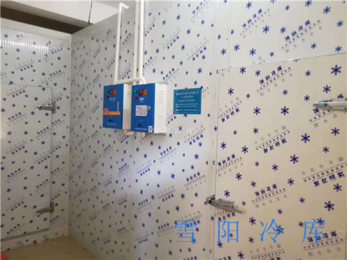 果蔬保鮮難？專業(yè)楚雄保鮮冷庫(kù)為您解憂！