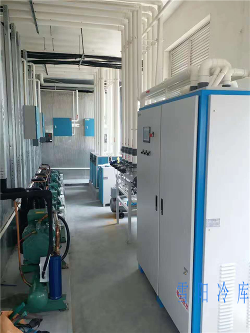 云南氣調(diào)冷庫(kù)為何成為現(xiàn)代農(nóng)業(yè)的必備基礎(chǔ)設(shè)施